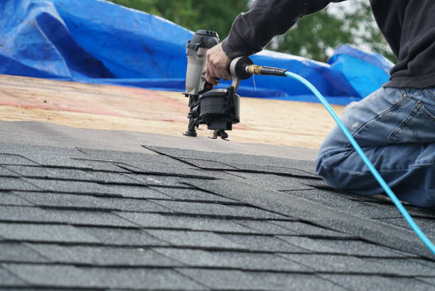 Best Roof Gutter Cleaning  in Fredericksburg, TX